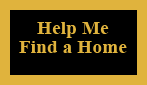 Help Me Find a Home